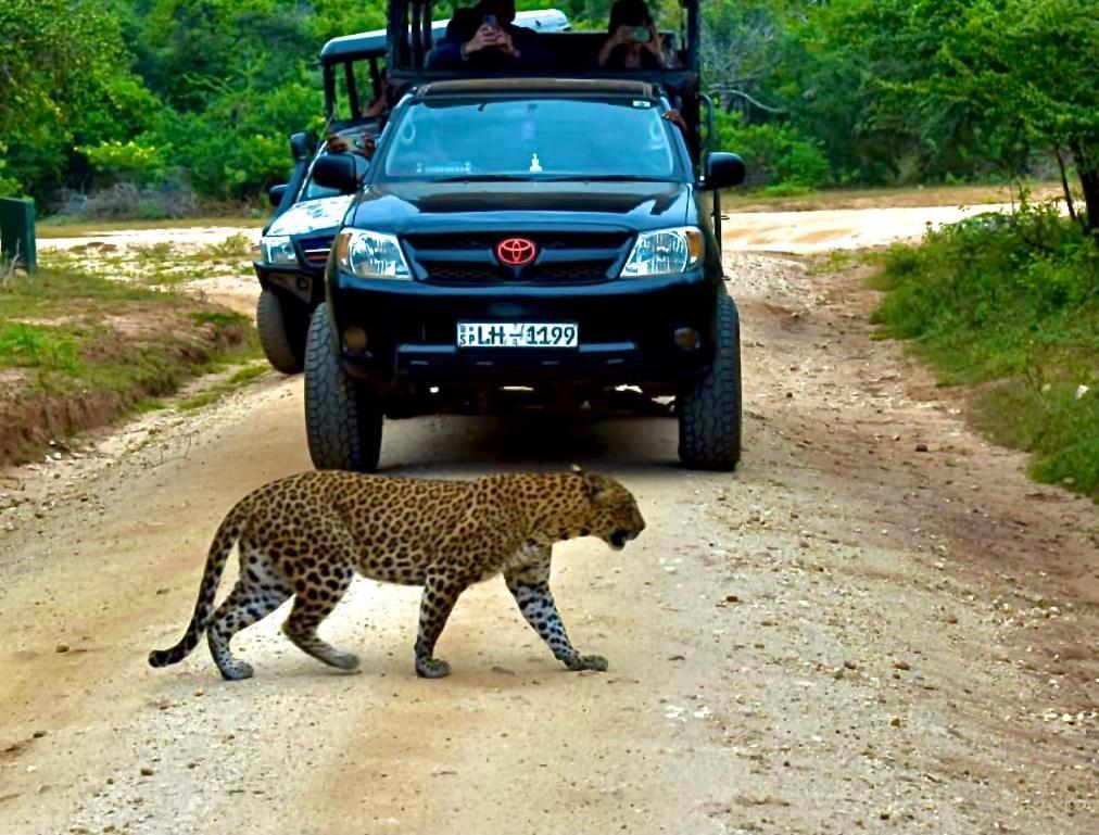 Yala Safari Village Maha Akurugoda Екстериор снимка